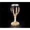 Кубок "Черепа" из полистоуна CUP-17