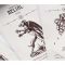 Карти Окультне Таро Occult Tarot